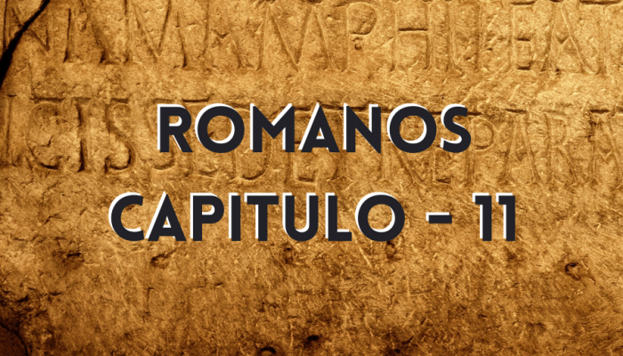 CC3B3pia20de20Travel20Photo20General20Linkedin20Banner2053