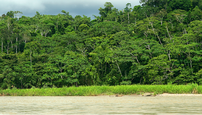 Por: Ellen Vaughn ©MinistérioFiel. Website: ministeriofiel.com.br. Todos os direitos reservados...