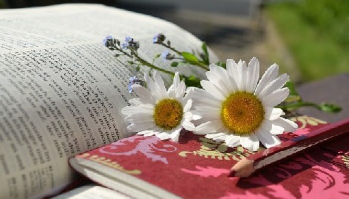 Motivacional Cristão - Ajudando você a superar desafios