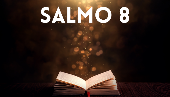 referencias20Bibliograficas